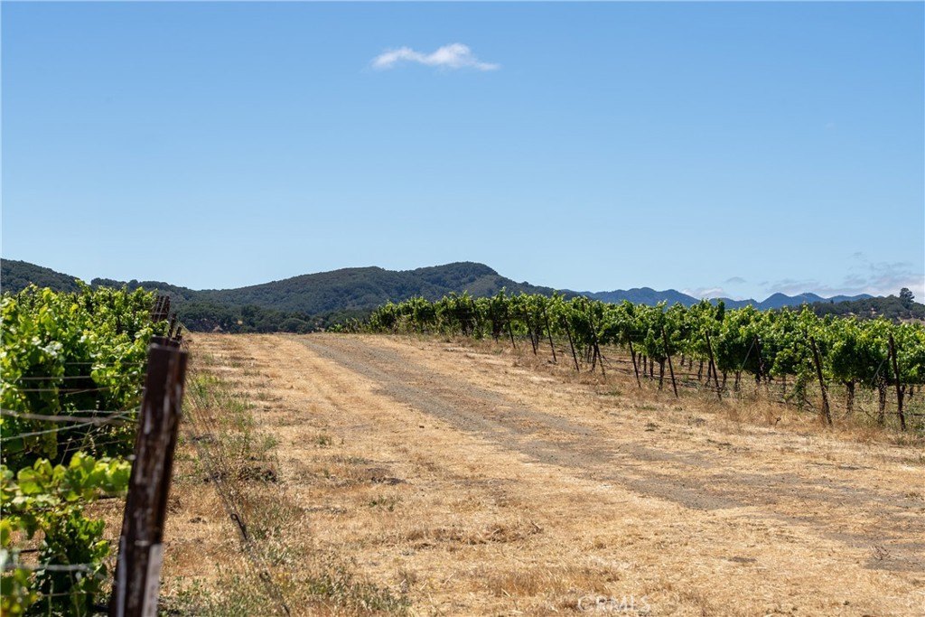 San Luis Obispo, California, 93401, United States, 2 Bedrooms Bedrooms, ,2 BathroomsBathrooms,Residential,Forsale,1993760