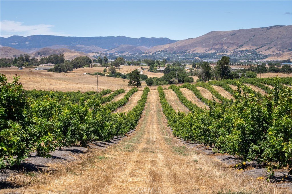 San Luis Obispo, California, 93401, United States, ,Land,Forsale,1929249