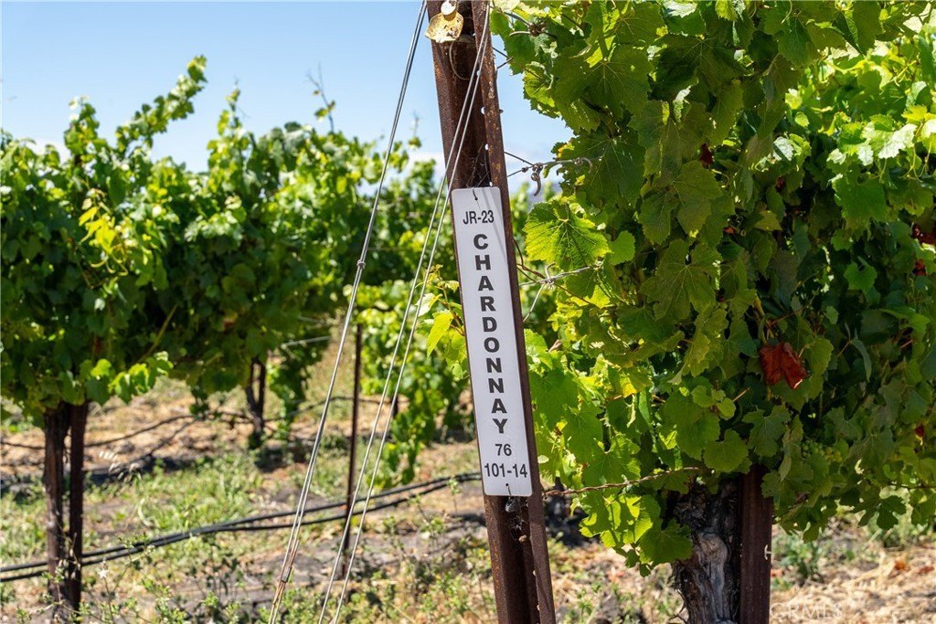 San Luis Obispo, California, 93401, United States, 2 Bedrooms Bedrooms, ,2 BathroomsBathrooms,Residential,Forsale,1993760