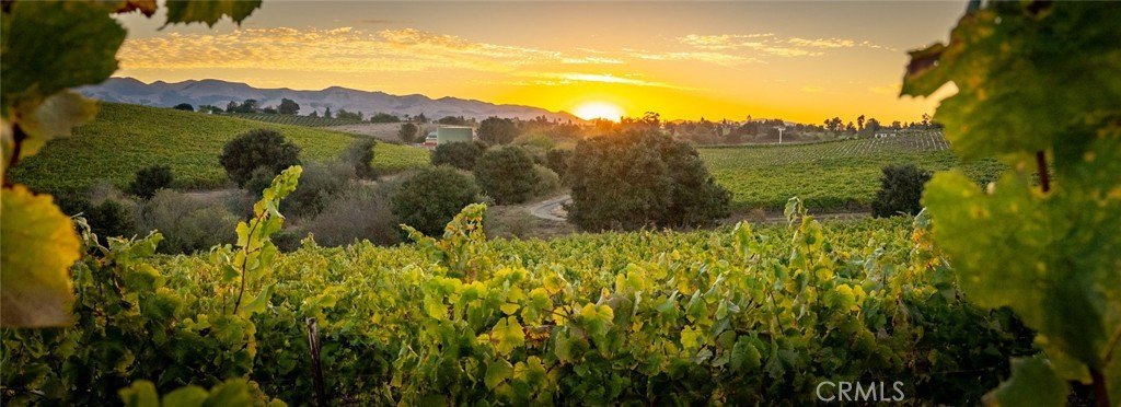 San Luis Obispo, California, 93401, United States, ,Land,Forsale,1929249