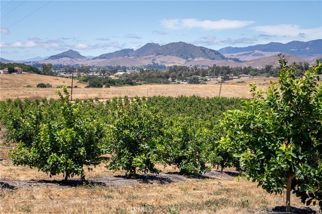 San Luis Obispo, California, 93401, United States, ,Land,Forsale,1929249