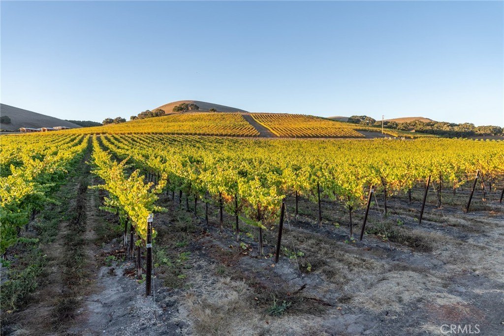 San Luis Obispo, California, 93401, United States, 2 Bedrooms Bedrooms, ,2 BathroomsBathrooms,Residential,Forsale,1993760