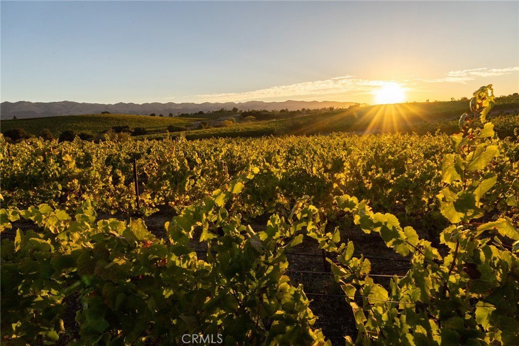 San Luis Obispo, California, 93401, United States, ,Land,Forsale,1929249