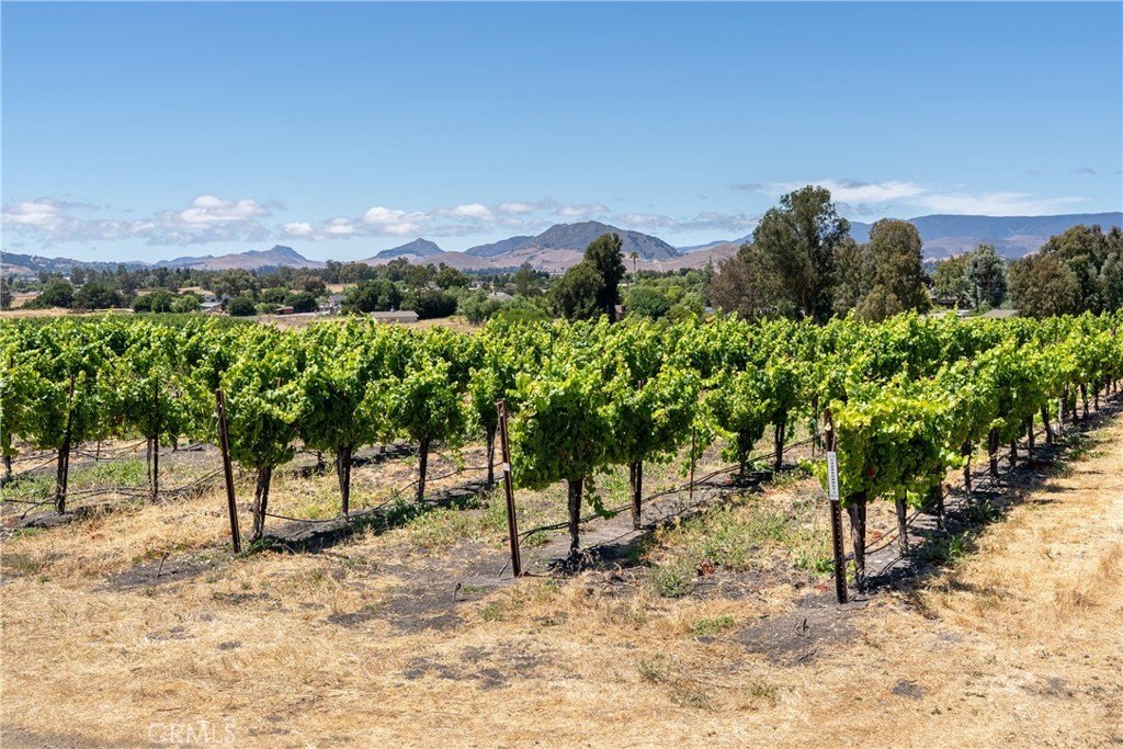 San Luis Obispo, California, 93401, United States, ,Land,Forsale,1929249