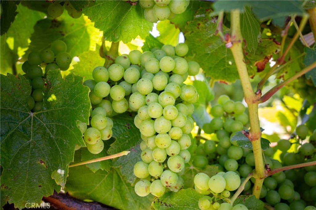 San Luis Obispo, California, 93401, United States, 2 Bedrooms Bedrooms, ,2 BathroomsBathrooms,Residential,Forsale,1993760