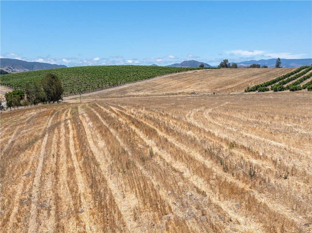 San Luis Obispo, California, 93401, United States, ,Land,Forsale,1929249