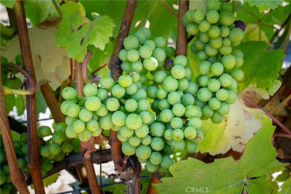 San Luis Obispo, California, 93401, United States, 2 Bedrooms Bedrooms, ,2 BathroomsBathrooms,Residential,Forsale,1993760