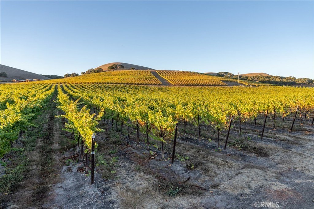 San Luis Obispo, California, 93401, United States, ,Land,Forsale,1929249