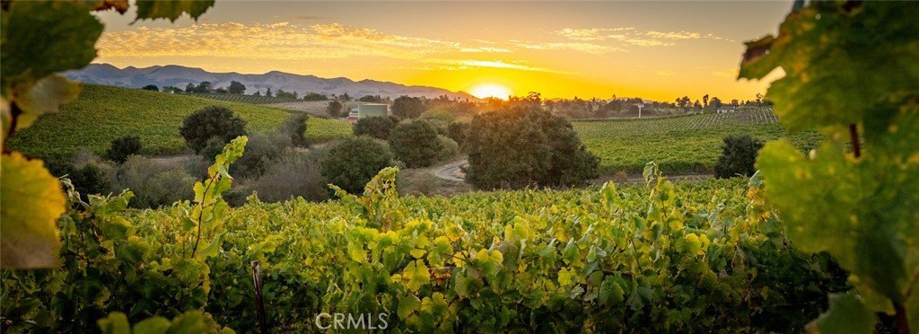 San Luis Obispo, California, 93401, United States, 2 Bedrooms Bedrooms, ,2 BathroomsBathrooms,Residential,Forsale,1993760