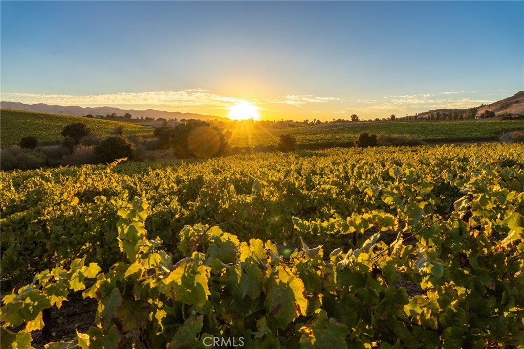 San Luis Obispo, California, 93401, United States, 2 Bedrooms Bedrooms, ,2 BathroomsBathrooms,Residential,Forsale,1993760