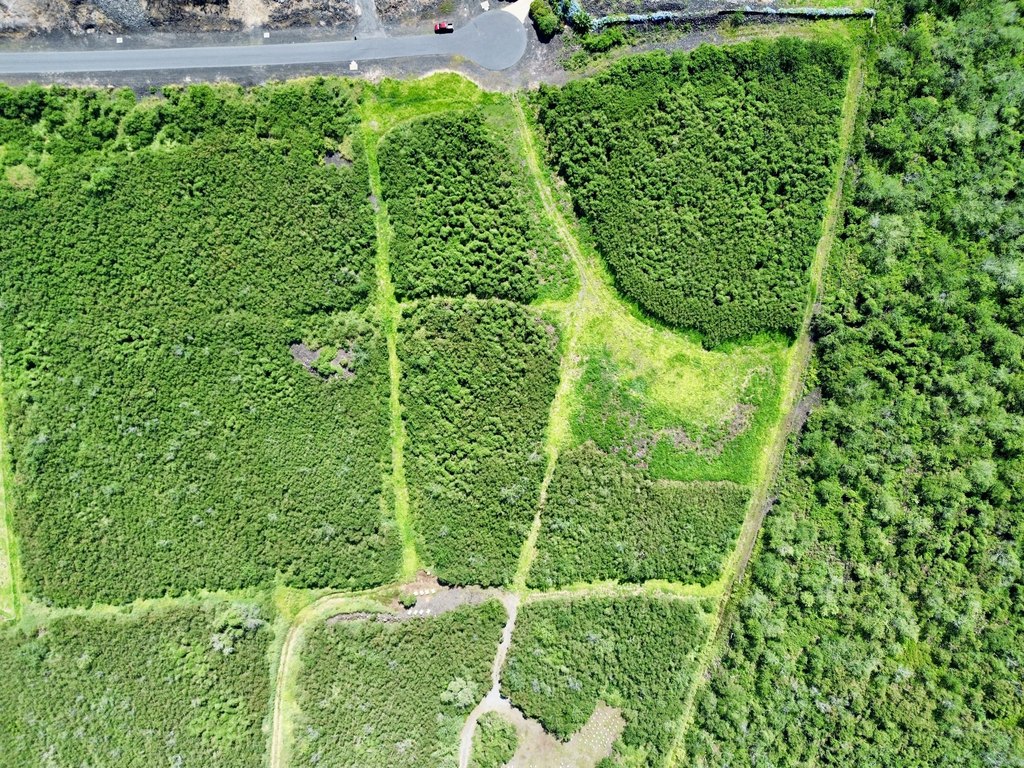 Captain Cook, Hawaii, 96704, United States, ,Land,Forsale,2004379