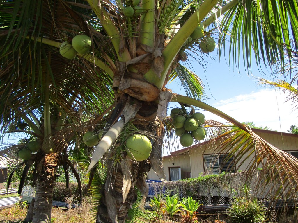 Hilo, Hawaii, 96720, United States, 3 Bedrooms Bedrooms, ,2 BathroomsBathrooms,Residential,Forsale,1989840