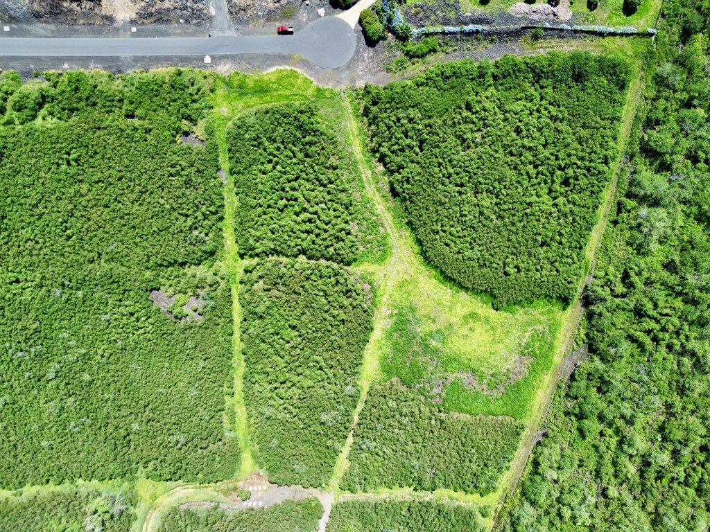 Captain Cook, Hawaii, 96704, United States, ,Land,Forsale,2004379