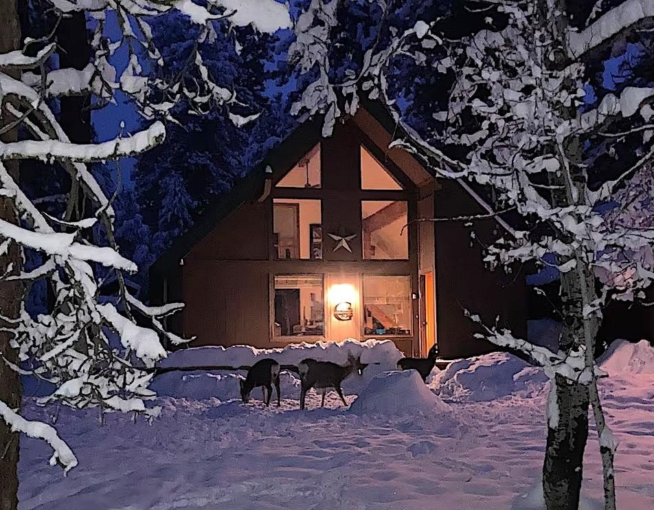 McCall, Idaho, 83638, United States, 3 Bedrooms Bedrooms, ,1.5 BathroomsBathrooms,Residential,Forsale,1996723