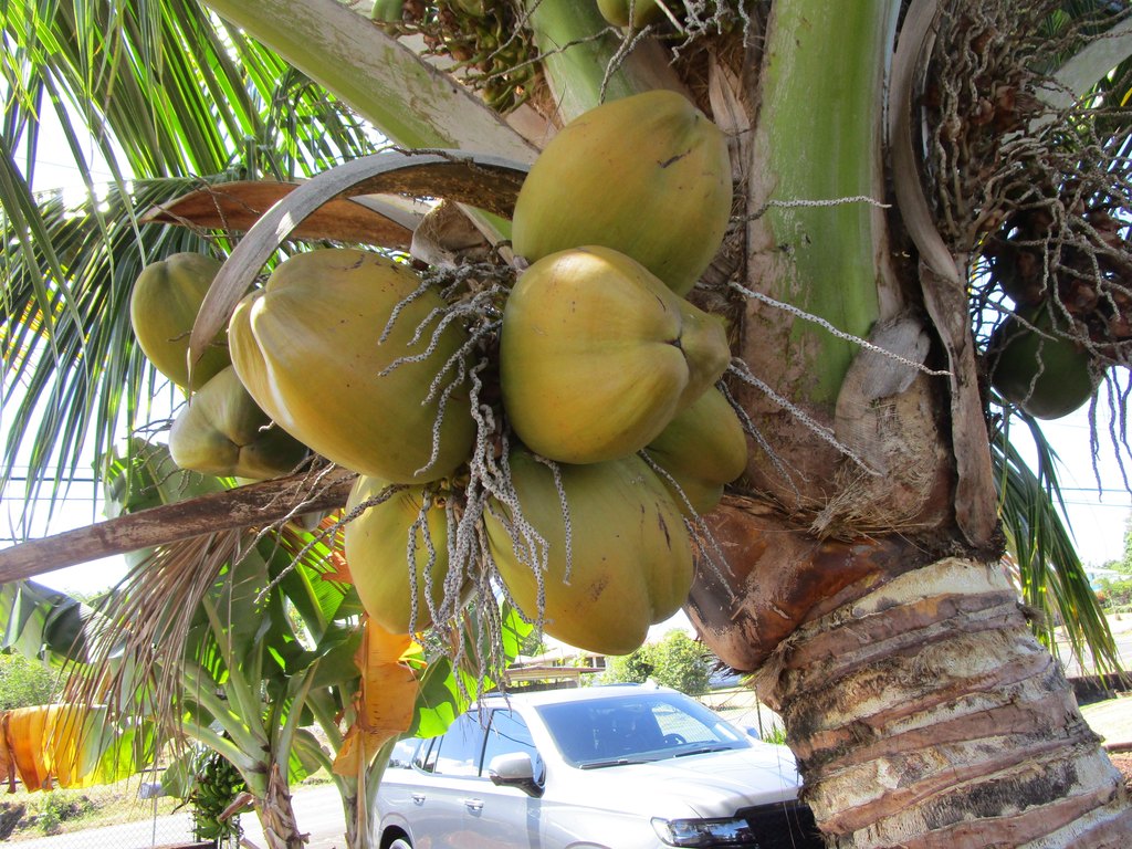 Hilo, Hawaii, 96720, United States, 3 Bedrooms Bedrooms, ,2 BathroomsBathrooms,Residential,Forsale,1989840