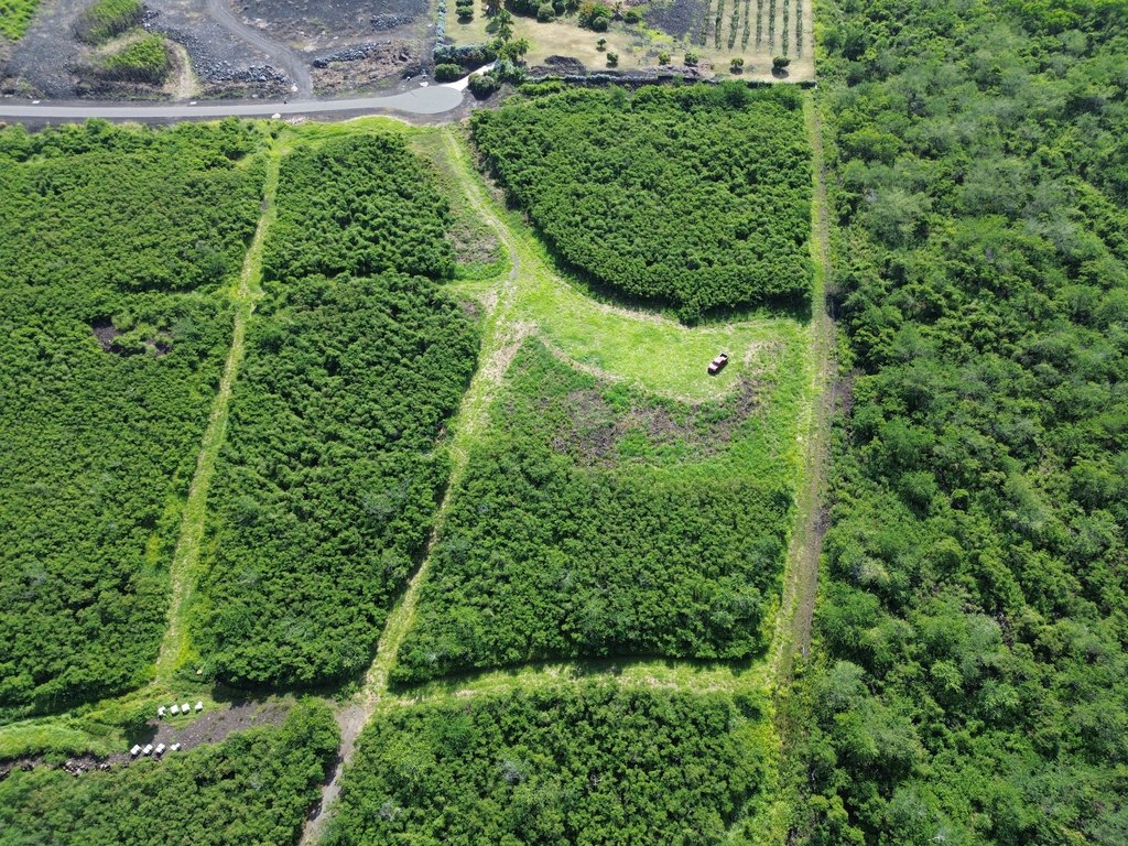 Captain Cook, Hawaii, 96704, United States, ,Land,Forsale,2004379