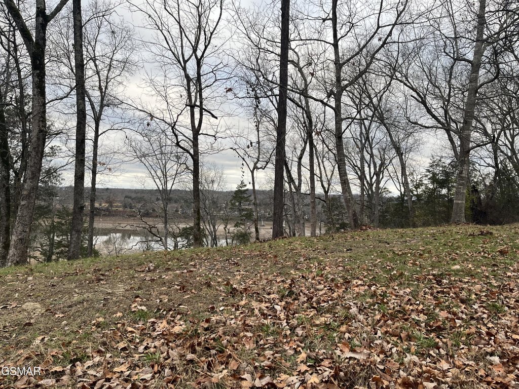 Newport, Tennessee, 37821, United States, 3 Bedrooms Bedrooms, ,2 BathroomsBathrooms,Residential,Forsale,1960215