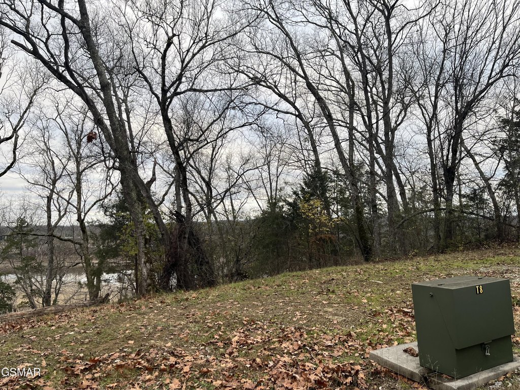 Newport, Tennessee, 37821, United States, 3 Bedrooms Bedrooms, ,2 BathroomsBathrooms,Residential,Forsale,1960215