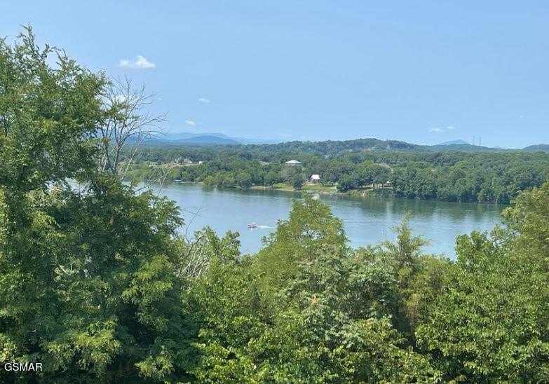 Newport, Tennessee, 37821, United States, 3 Bedrooms Bedrooms, ,2 BathroomsBathrooms,Residential,Forsale,1960215