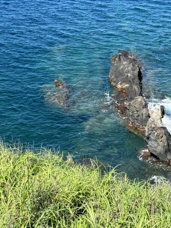 Kamuela, Hawaii, 96743, United States, ,Land,Forsale,1989826