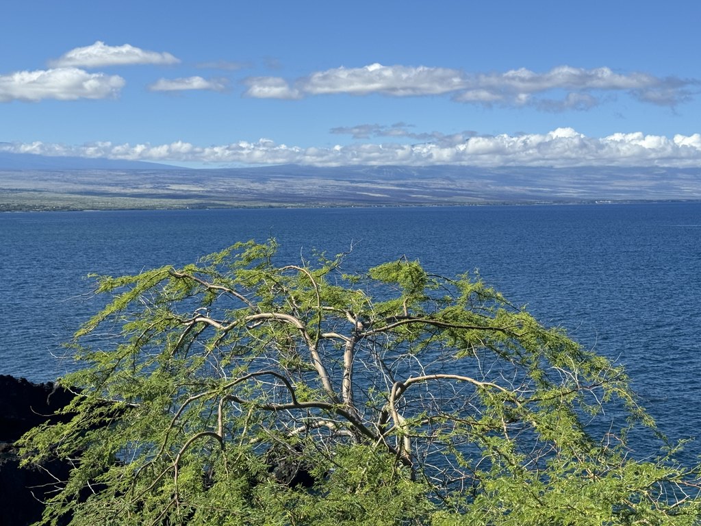 Kamuela, Hawaii, 96743, United States, ,Land,Forsale,1989826