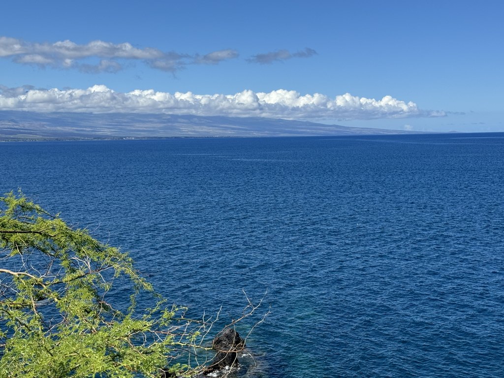 Kamuela, Hawaii, 96743, United States, ,Land,Forsale,1989826