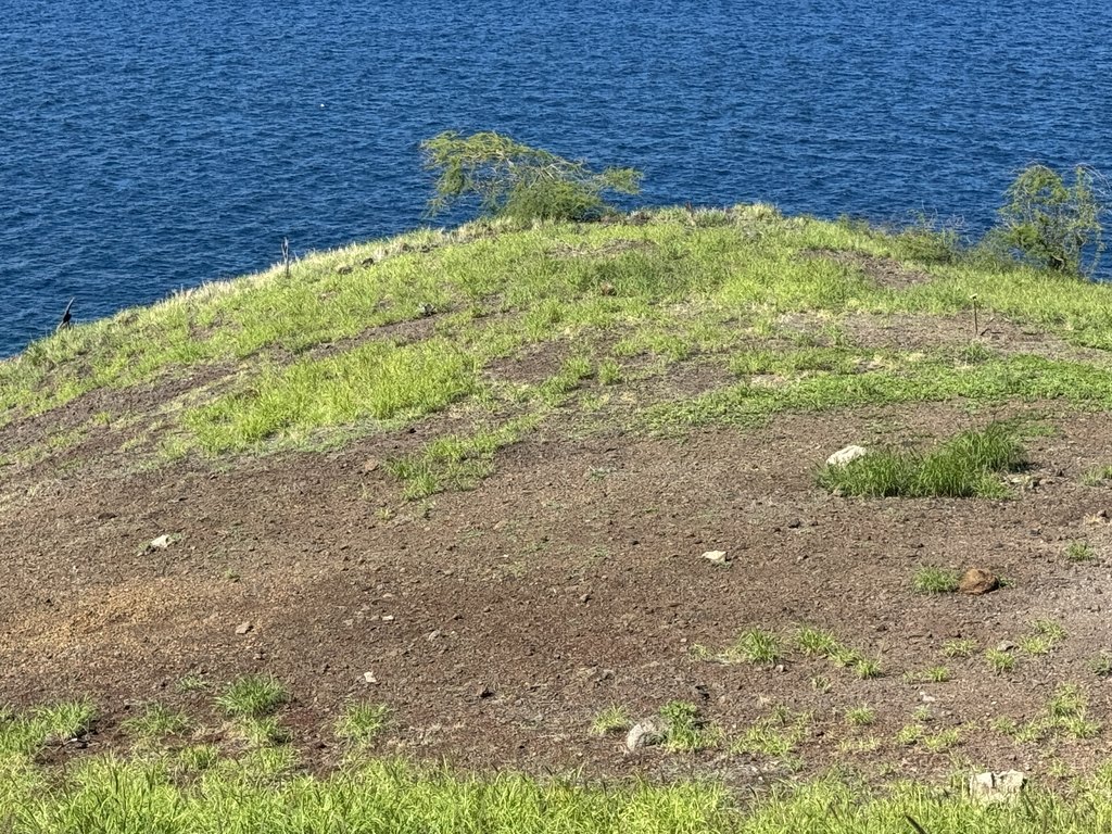 Kamuela, Hawaii, 96743, United States, ,Land,Forsale,1989826