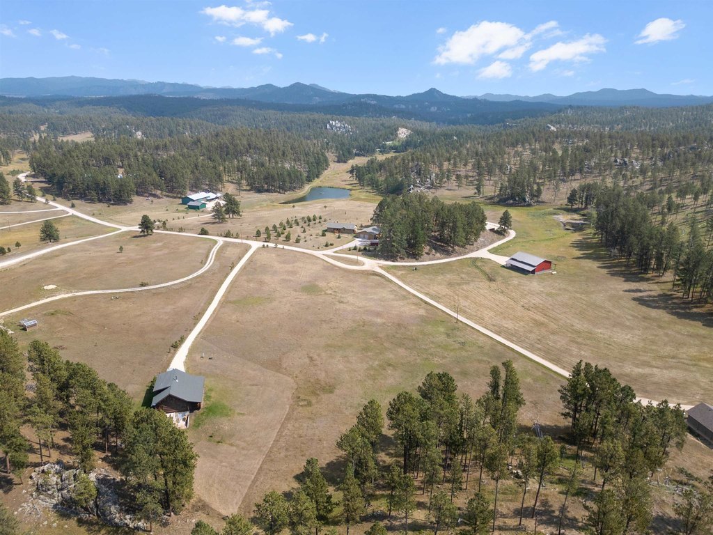 Custer, South Dakota, 57730, United States, 3 Bedrooms Bedrooms, ,2 BathroomsBathrooms,Residential,Forsale,1963297