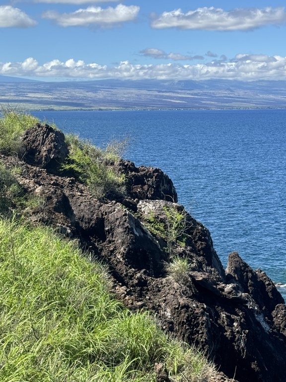 Kamuela, Hawaii, 96743, United States, ,Land,Forsale,1989826