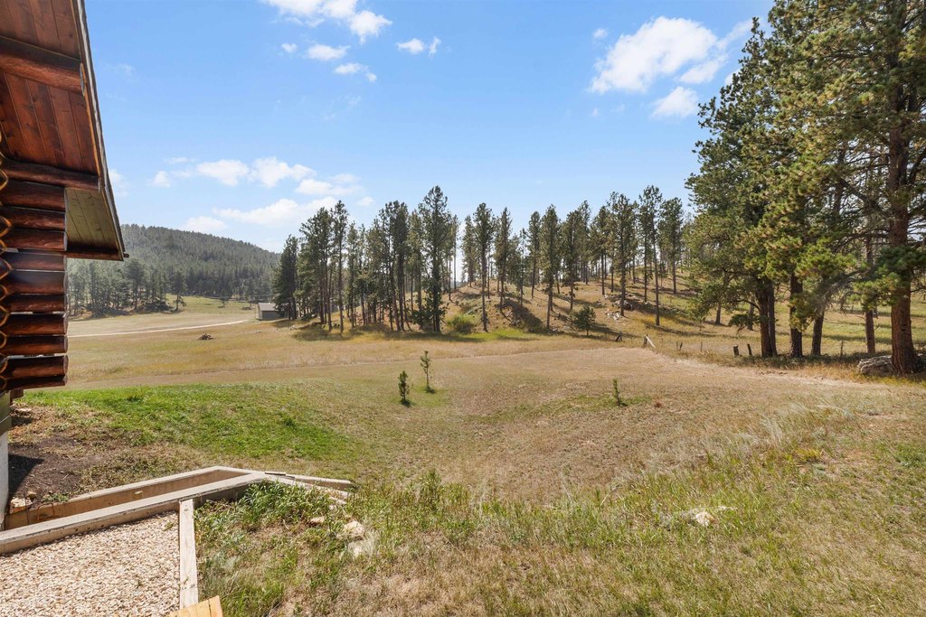 Custer, South Dakota, 57730, United States, 3 Bedrooms Bedrooms, ,2 BathroomsBathrooms,Residential,Forsale,1963297