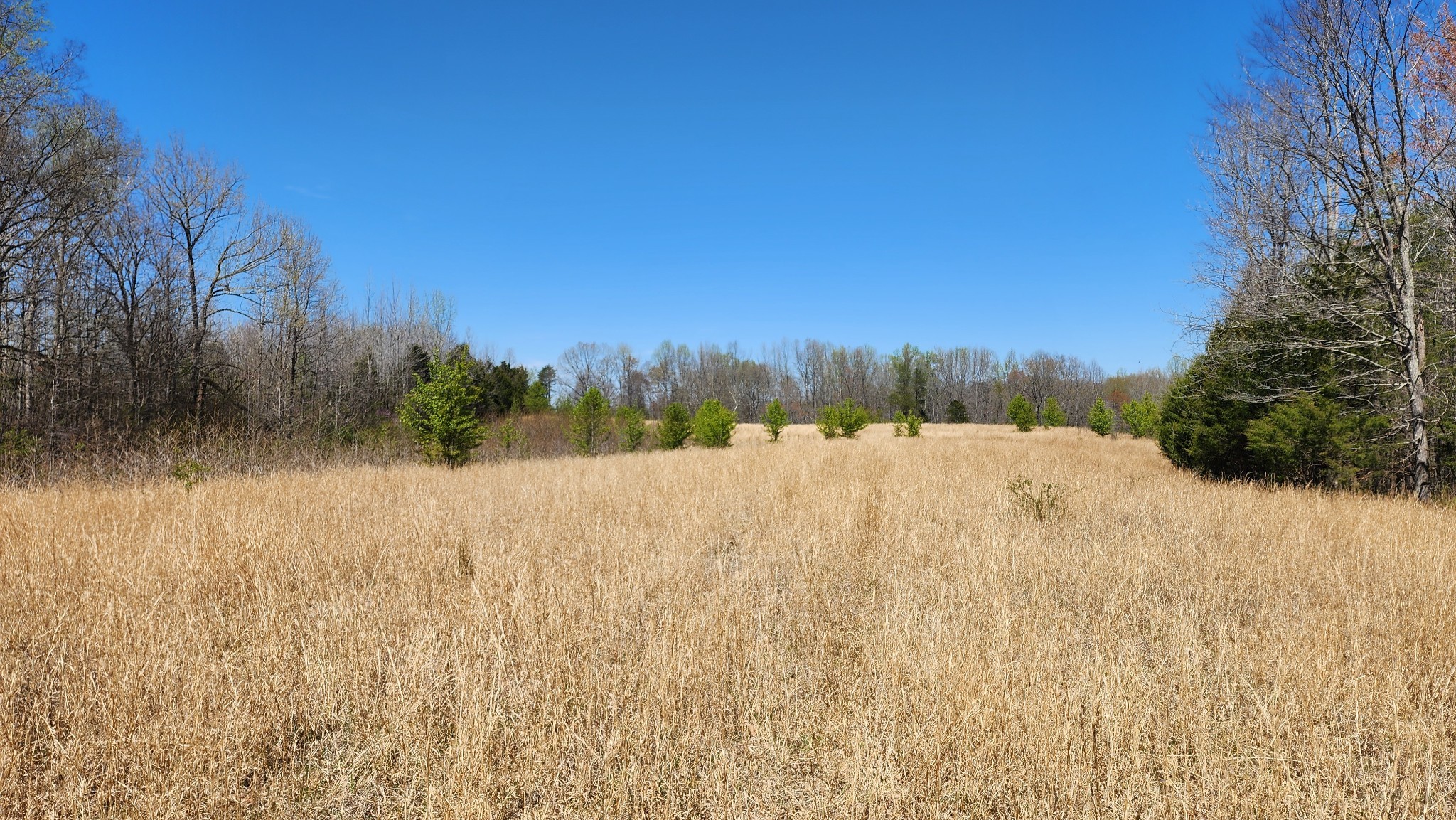 Smithville, Tennessee, 37166, United States, ,Land,Forsale,1999481