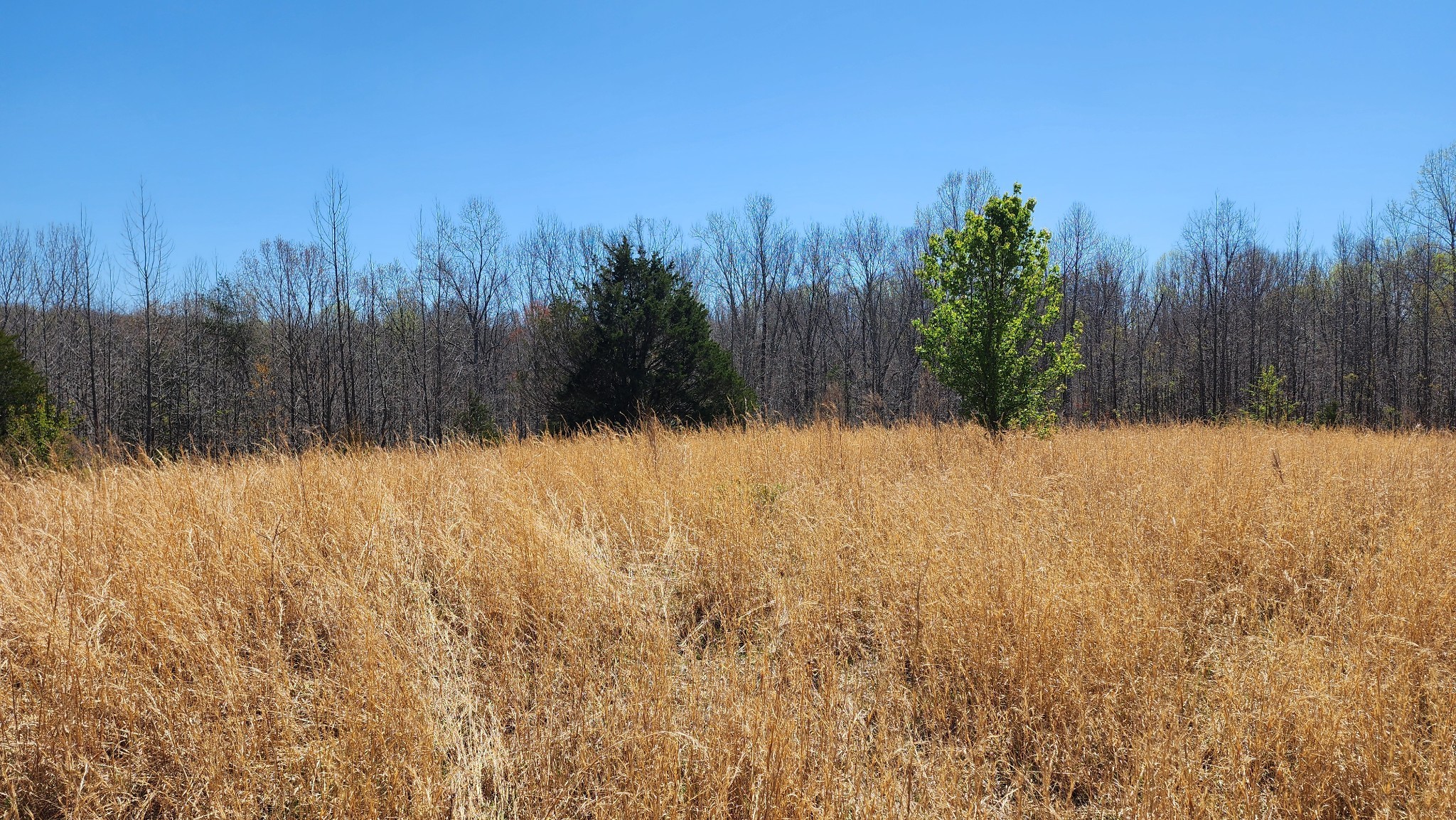 Smithville, Tennessee, 37166, United States, ,Land,Forsale,1999481