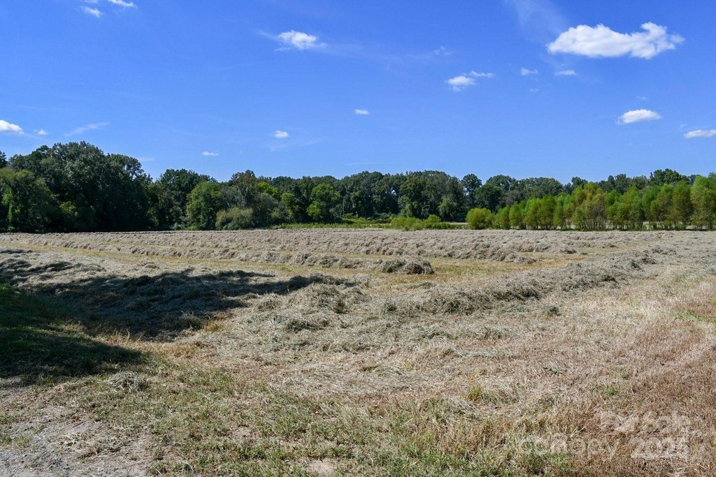 Sharon, South Carolina, 29742, United States, ,Land,Forsale,1985969