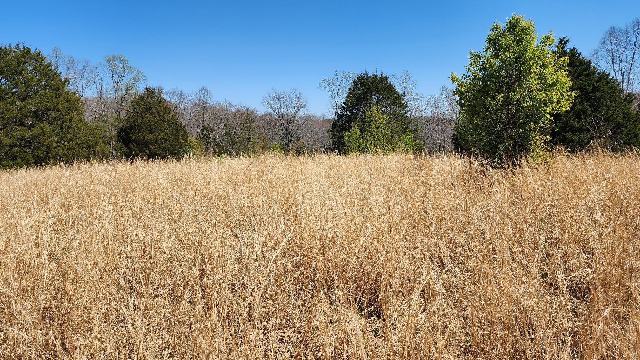 Smithville, Tennessee, 37166, United States, ,Land,Forsale,1999481