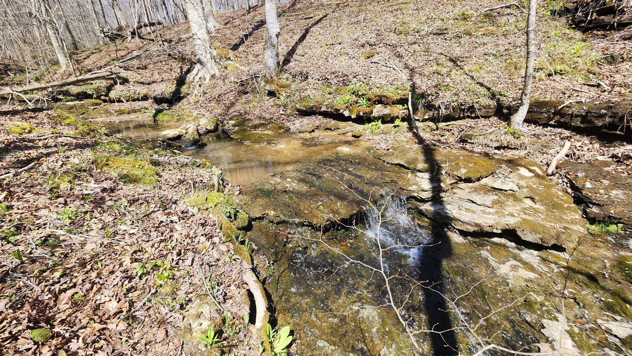 Smithville, Tennessee, 37166, United States, ,Land,Forsale,1999481