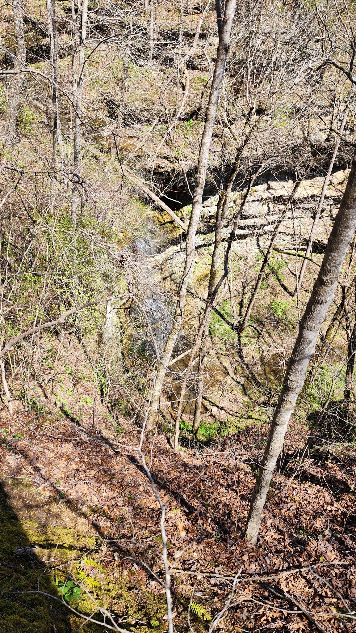 Smithville, Tennessee, 37166, United States, ,Land,Forsale,1999481