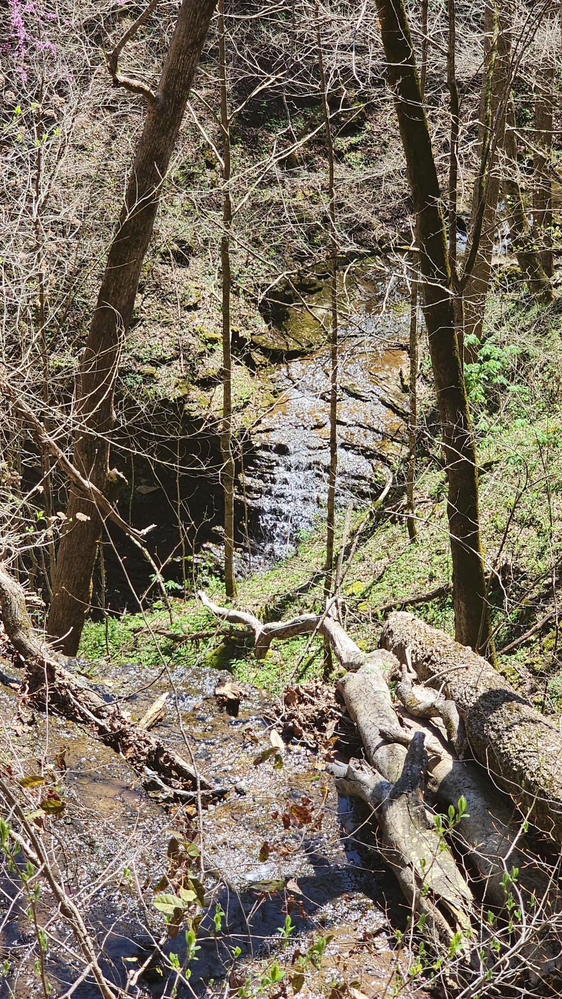 Smithville, Tennessee, 37166, United States, ,Land,Forsale,1999481