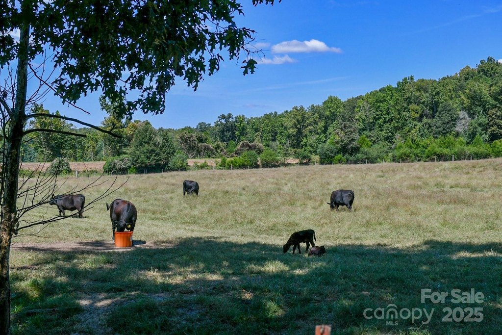 Sharon, South Carolina, 29742, United States, ,Land,Forsale,1985969