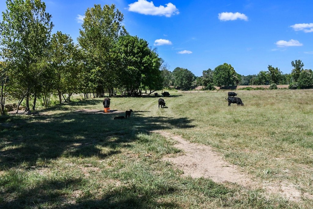 Sharon, South Carolina, 29742, United States, ,Land,Forsale,1985969