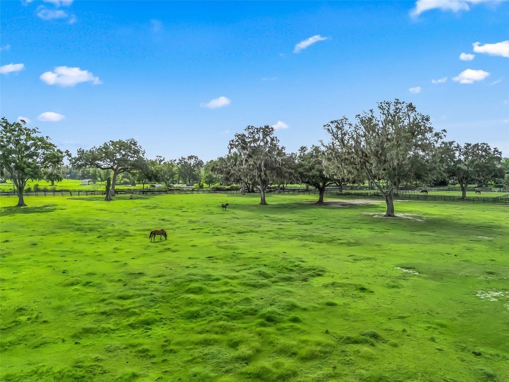 OCALA, Florida, 34482, United States, ,Land,Forsale,2009526