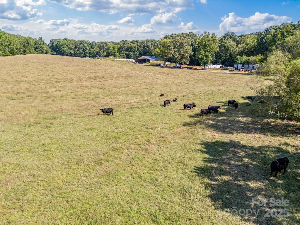 Sharon, South Carolina, 29742, United States, ,Land,Forsale,1985969