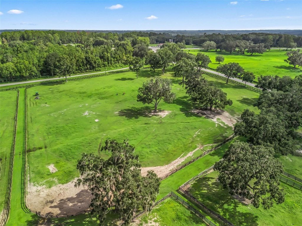 OCALA, Florida, 34482, United States, ,Land,Forsale,2009526