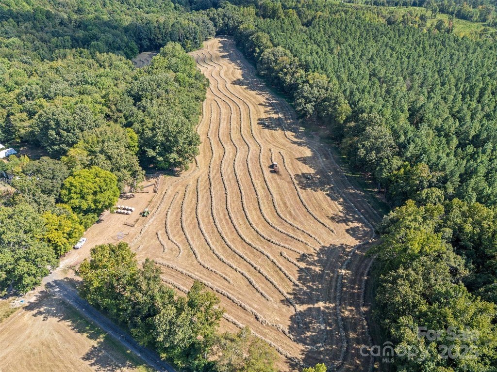 Sharon, South Carolina, 29742, United States, ,Land,Forsale,1985969