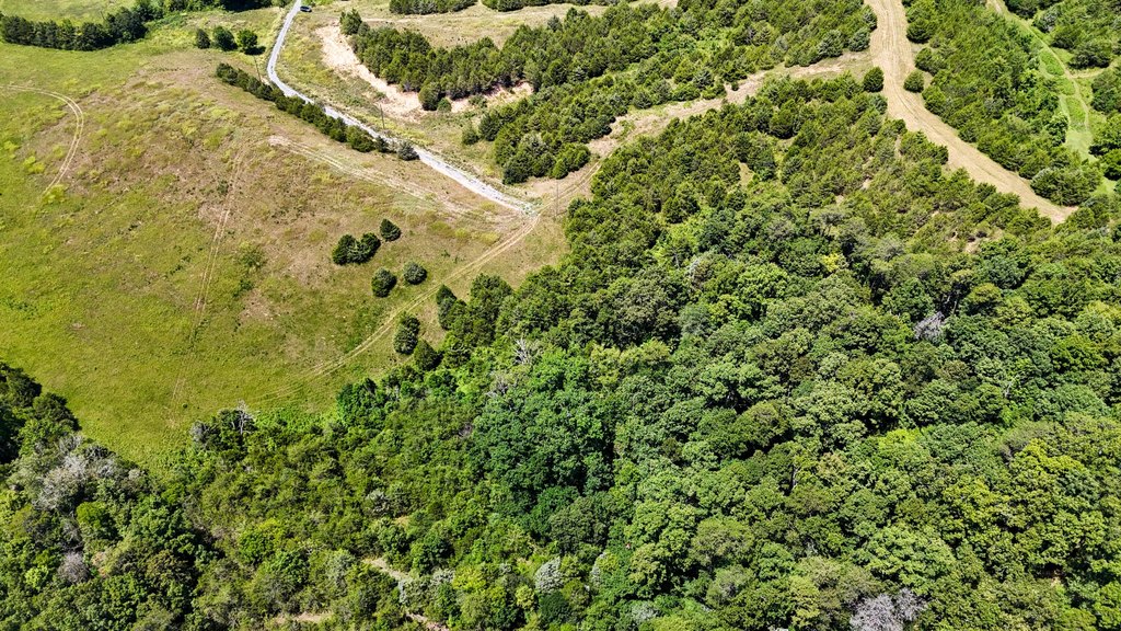 Dandridge, Tennessee, 37725, United States, ,Land,Forsale,1962201 Dandridge, Tennessee, 37725, United States, ,Land,Forsale,1962201