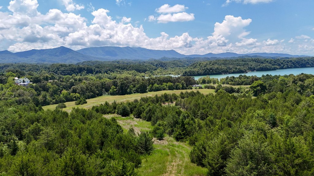 Dandridge, Tennessee, 37725, United States, ,Land,Forsale,1962201 Dandridge, Tennessee, 37725, United States, ,Land,Forsale,1962201