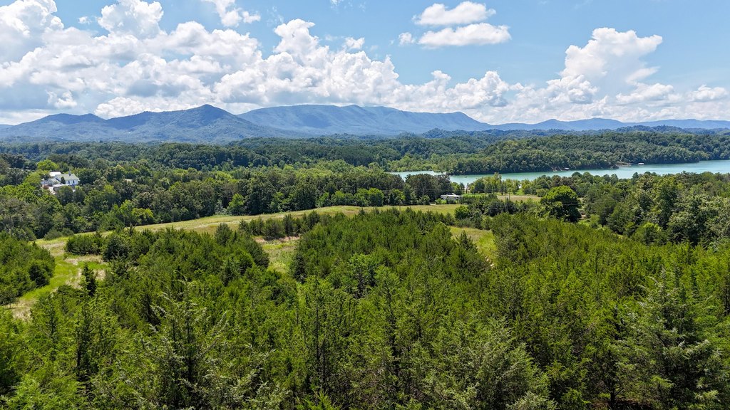 Dandridge, Tennessee, 37725, United States, ,Land,Forsale,1962201 Dandridge, Tennessee, 37725, United States, ,Land,Forsale,1962201