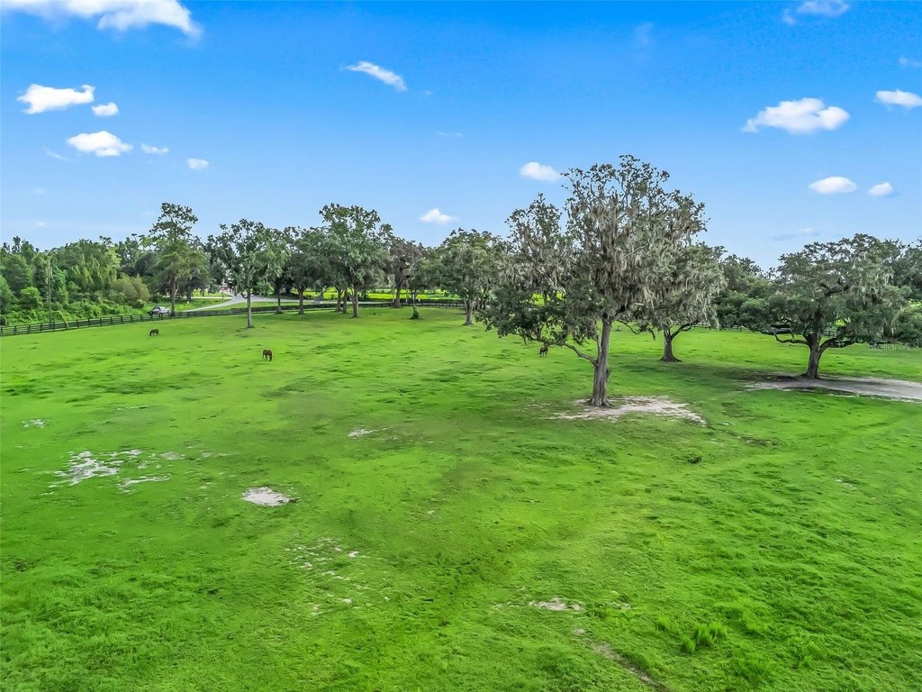 OCALA, Florida, 34482, United States, ,Land,Forsale,2009526