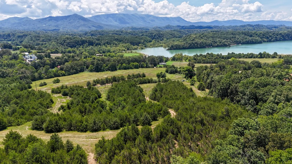 Dandridge, Tennessee, 37725, United States, ,Land,Forsale,1962201 Dandridge, Tennessee, 37725, United States, ,Land,Forsale,1962201