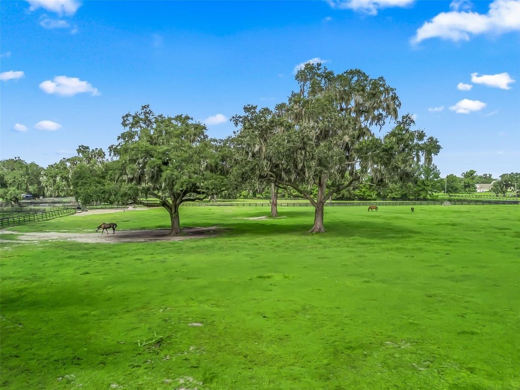 OCALA, Florida, 34482, United States, ,Land,Forsale,2009526