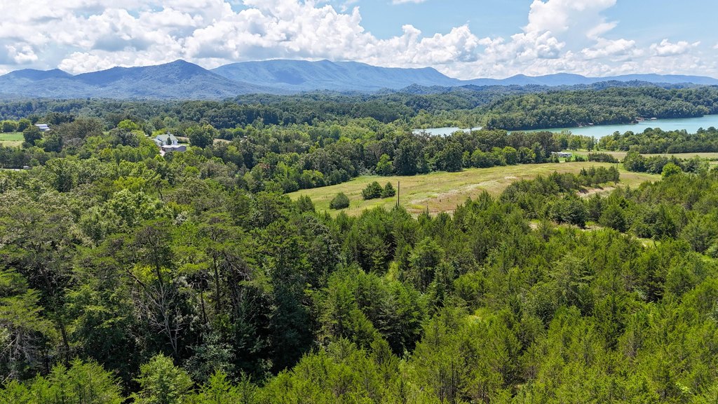 Dandridge, Tennessee, 37725, United States, ,Land,Forsale,1962201 Dandridge, Tennessee, 37725, United States, ,Land,Forsale,1962201